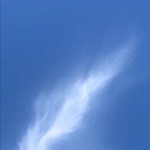 Meet your Posher, Fatimah